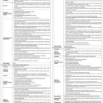 NBP Relationship Managers Jobs July 2026 Advertisement