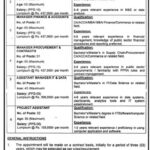 Information Technology & Innovation Department Punjab Jobs 2026 Advertisement 01