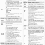 NBP Jobs August 2026 Advertisement 05