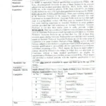 PIMS Jobs 2026 Advertisement Page 02